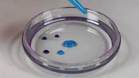 AI Video from prompt: Make Me Peppa Pig Says On Tiktok Using Droplets 