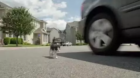 AI Video from prompt: Kitten run home door run car wheel Walmart super