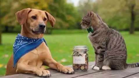 AI Video from prompt: A dog talking to a cat on how to become rich