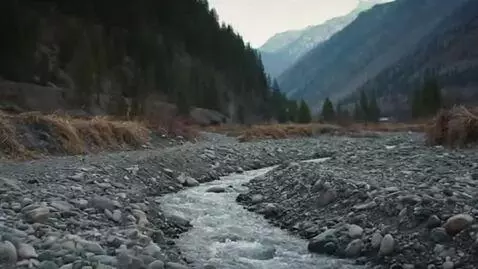 AI Video from prompt: Create a realistic cinematic documentary-style v