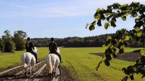 AI Video from prompt: ladies riding their horses