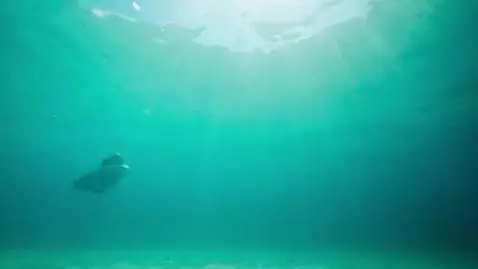 AI Video from prompt: a woman at a beach dives under water. when she r