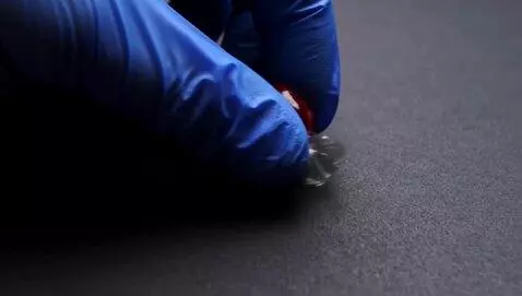 AI Video from prompt: Photorealistic 8k, macro shot, ultra-high detail
