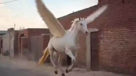 AI Video from prompt: It flips it wings, running slowly and later fly 