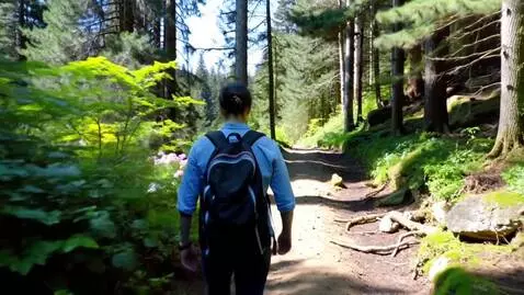 AI Video from prompt: Exploring nature