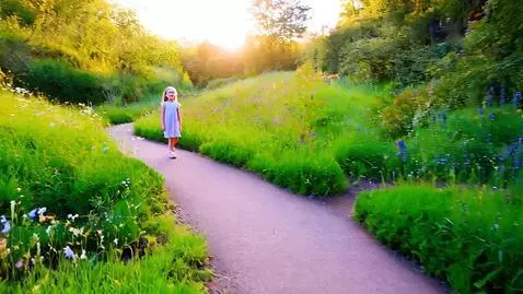 AI Video from prompt: The reserve in the morning. A girl walks along a