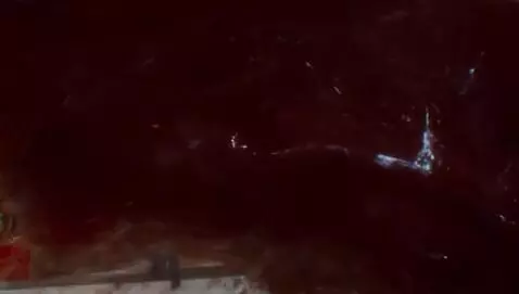 AI Video from prompt: a large mucus horror creature walks through a vi
