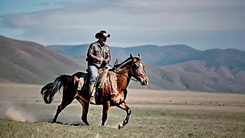 AI Video from prompt: The cow boy hunter