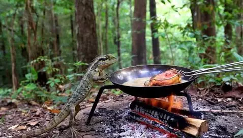 AI Video from prompt: A lizard cooking chicken  in the forest