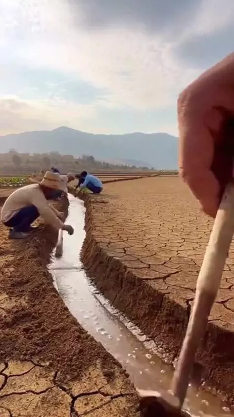 AI Video from prompt: make me a video of a giant hand helping humans t