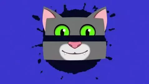 AI Video from prompt: the gray rentangle downwards with the cat mouth 