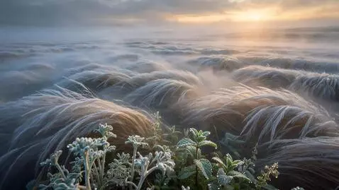 AI Video from prompt: A cinematic, dreamy drone shot, soaring smoothly