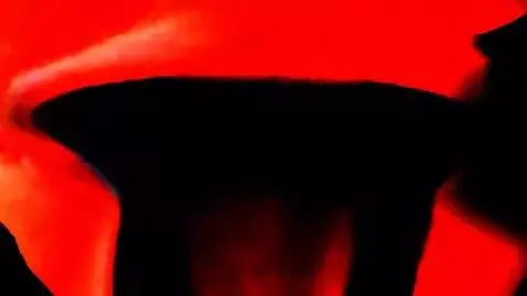 AI Video from prompt: souzaarthurgonhijacked.avi