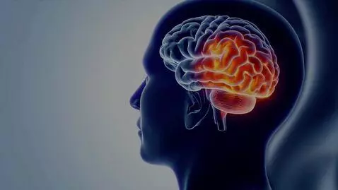 AI Video from prompt: Create a highly realistic, cinematic, scientific