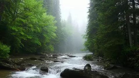 AI Video from prompt: make this picture come to life