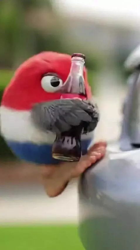 AI Video from prompt: Dutch bird says “ima make a drink” then he runs 
