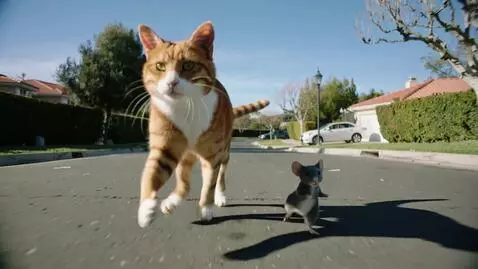 AI Video from prompt: Tom and jerry running on the road