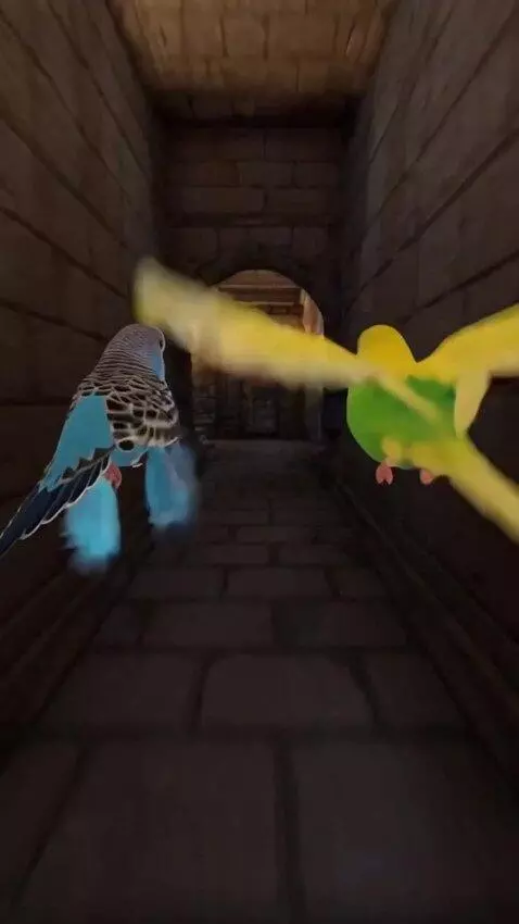 AI Video from prompt: Two parrots entered the castle and got lost in t