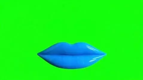 AI Video from prompt: First: Appears a Green Screen With a White Ink S
