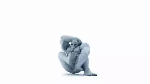 AI Video from prompt: A video where this snow yeti folds as a contorti