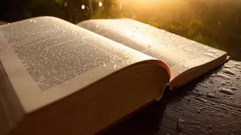 AI Video from prompt: Book on sun with rain