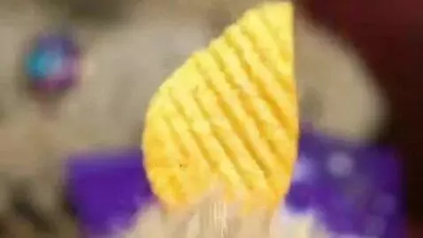 AI Video from prompt: The creature in the picture opens a bag of "Moon