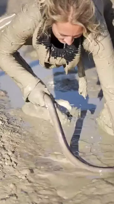 AI Video from prompt: The girl hunts eels in the mud and catches them 