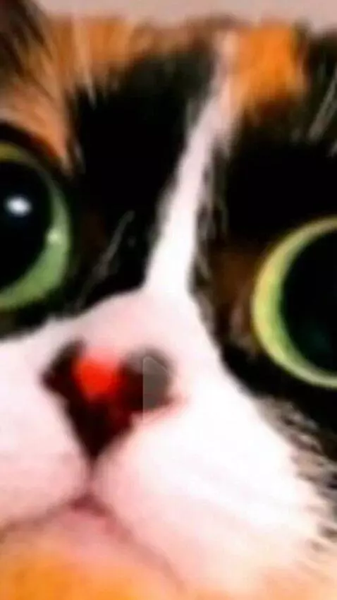 AI Video from prompt: RYTP Fat cat