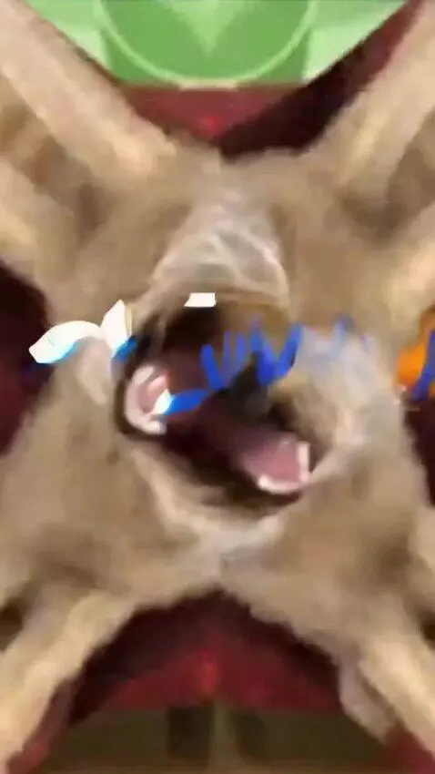 AI Video from prompt: Turn this tiktok video into YTP with no failed
