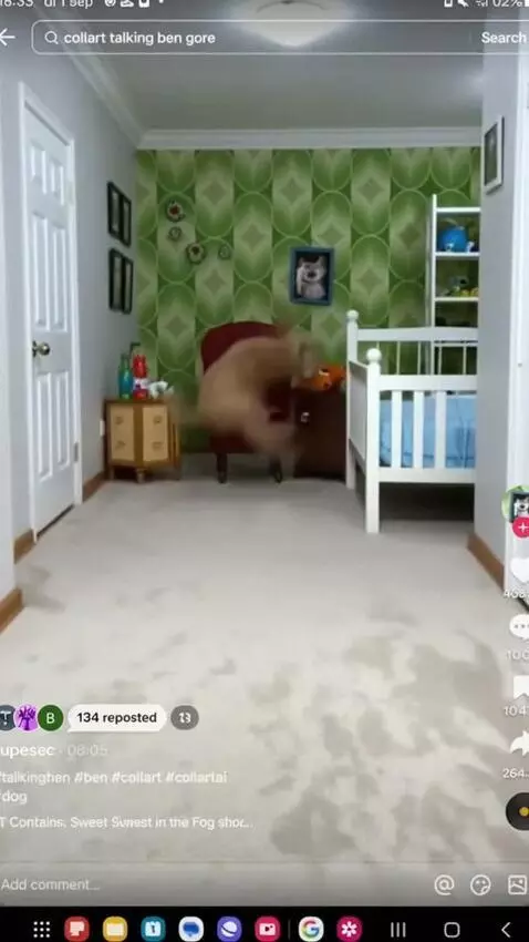 AI Video from prompt: Make this tiktok video but with bloopers