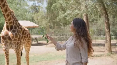 AI Video from prompt: MASTER VIDEO PROMPT — USA GIRL AT ZOO  Use the p
