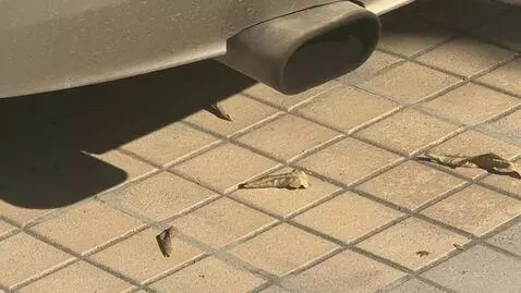 AI Video from prompt: Make on this exhaust with no another camera make