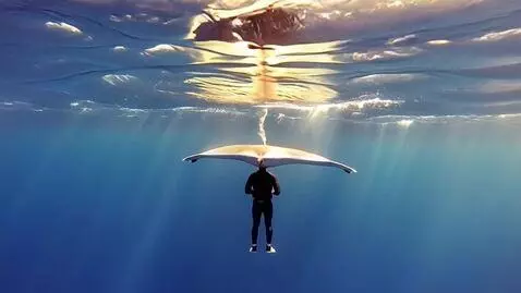 AI Video from prompt: A lone freediver in a sleek black wetsuit drifts