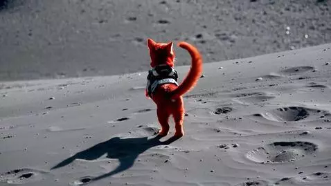 AI Video from prompt: A red cat in a spacesuit is dancing on the surfa
