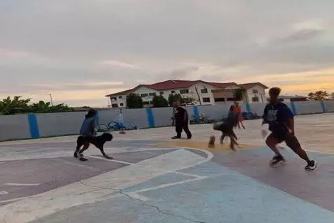 AI Video from prompt: Dogs playing basketball