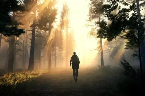 AI Video from prompt: A lone traveler walks through a misty forest at 