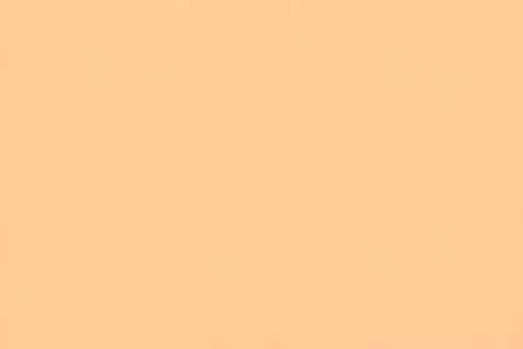 AI Video from prompt: a video of a well prepared dinning for two guest