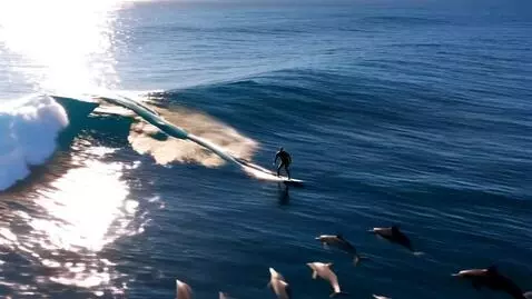 AI Video from prompt: Riding a wave on a surfboard flanked by dolphins