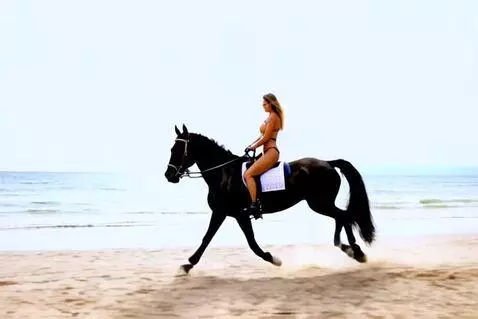 AI Video from prompt: A woman wearing a bikini riding horseback on a b