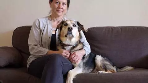 AI Video from prompt: woman sitting next to a dog in a medium-sized ro