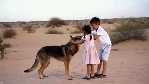 AI Video from prompt: A little boy protecting his kid sisters against 