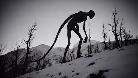 AI Video from prompt: The silhouette of a creepy thin otherworldly mon