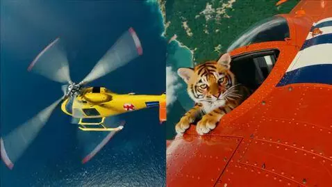 AI Video from prompt: A cat vs tiger in plane and helicopter