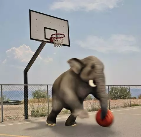 AI Video from prompt: Kobby the elephant playing basketball and dunkin
