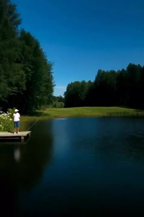 AI Video from prompt: Небо голубое, дача и рыбалка