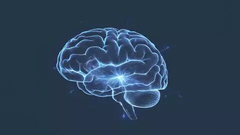 AI Video from prompt: Important rules (first):  The entire video is st