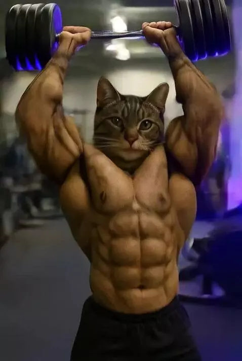 AI Video from prompt: A muscular humanoid dark-striped tabby cat is in