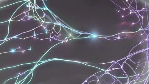 AI Video from prompt: "A journey through the human brain explaining ne