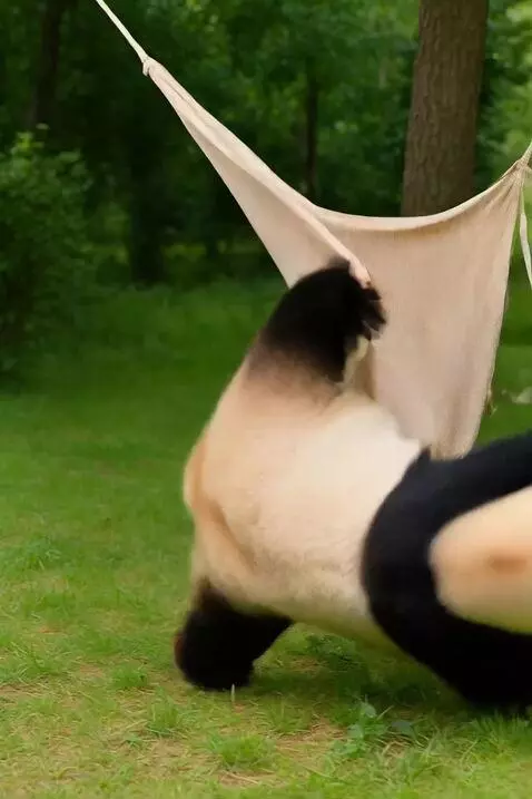 AI Video from prompt: A giant panda in a sunny green park clumsily tri