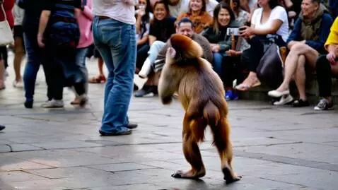 AI Video from prompt: Monkey dancing in public